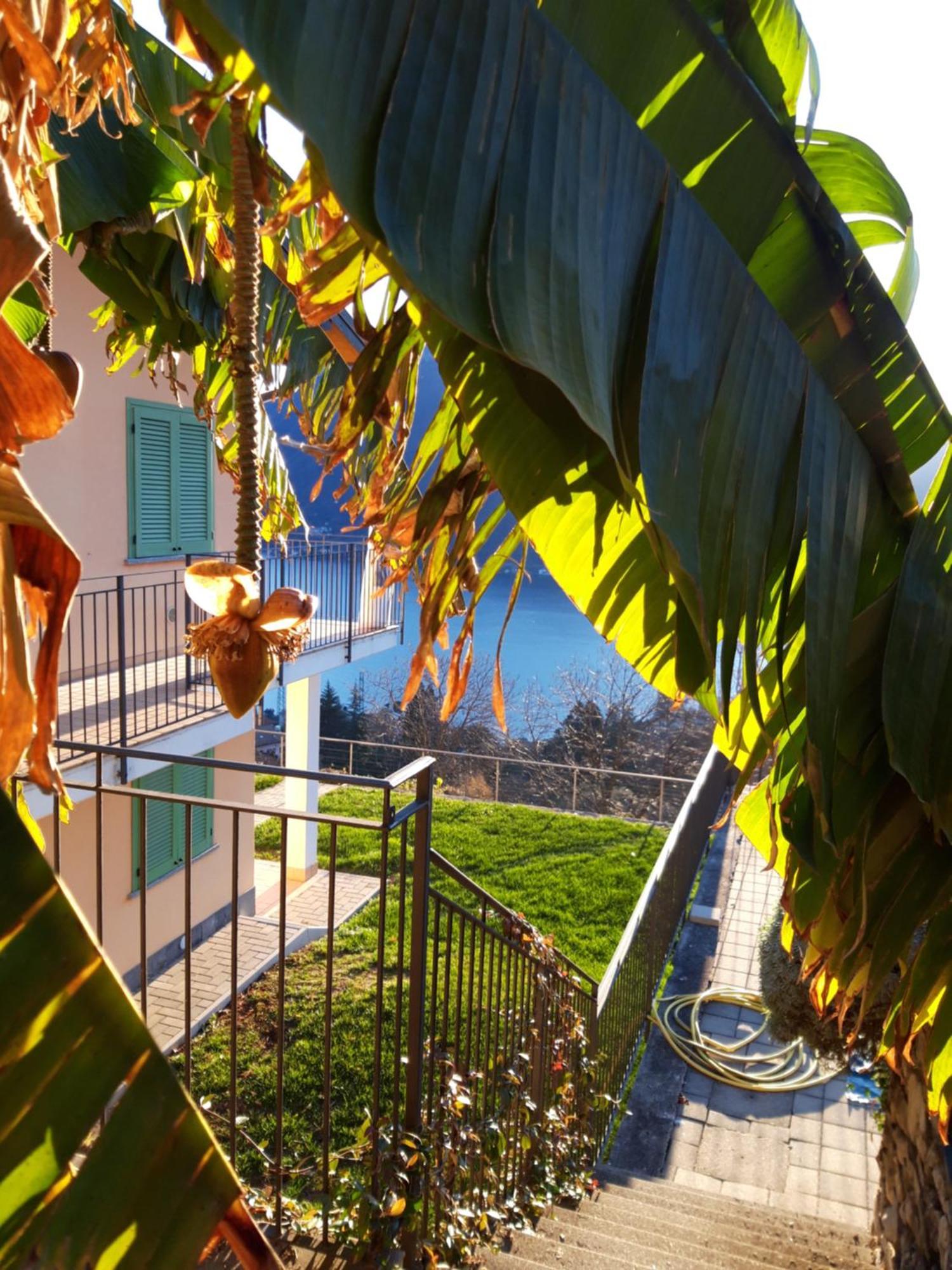 Montagna Del Sole W/ Pool Apartment Muronico Bagian luar foto